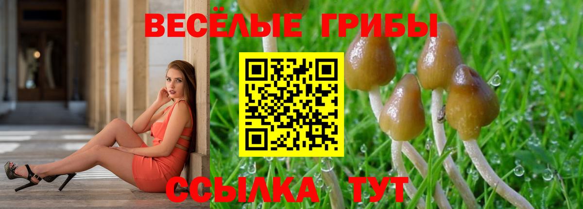 сколько стоит  Галлюциногенные грибы Psilocybine cubensis  Орёл  Вход с VPN  Псилоцибиновые грибы MAGIC MUSHROOMS 